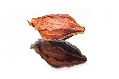 《三伏》新资讯：试玩Demo最快3-4月份公布